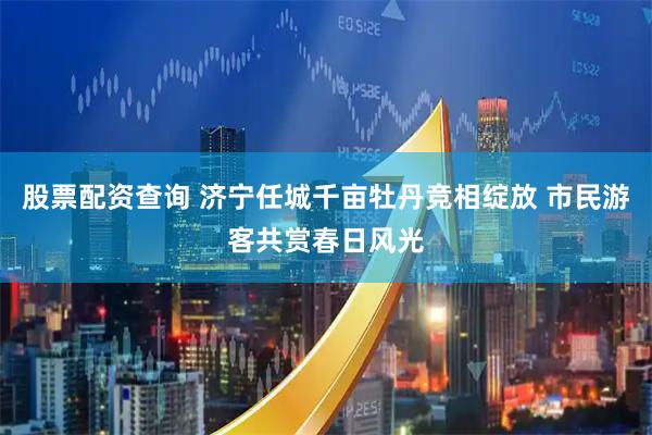股票配资查询 济宁任城千亩牡丹竞相绽放 市民游客共赏春日风光